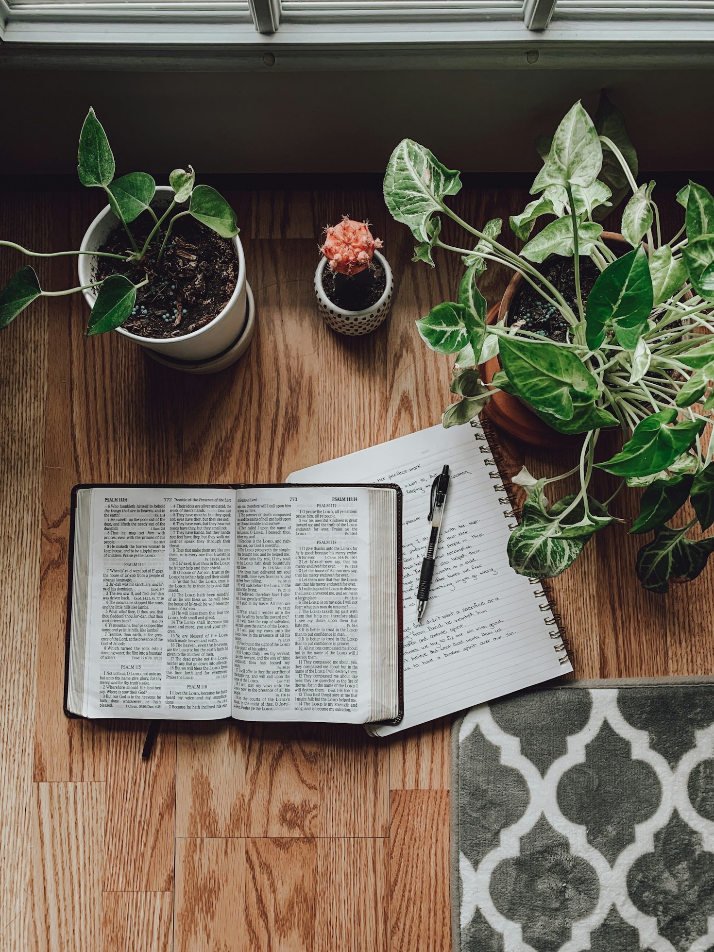 The Art of Mindful Living in a Distracted World